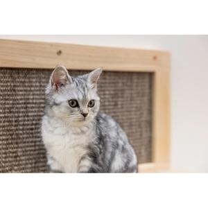 Cat Scratching Post Kerbl Timber image-4
