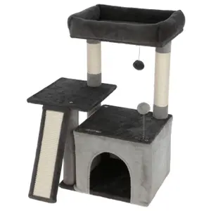 Kattenboom Kerbl Rosalie image-0