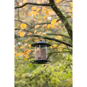 Vogelvoederhuisje Kerbl image-2