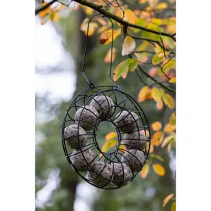 Anneau per allevamento boule de suif Kerbl image-3