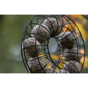 Anneau per allevamento boule de suif Kerbl image-4