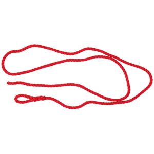10251-calving-rope-kerbl-x2-red-200-cm