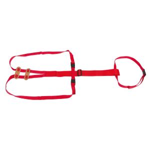 Prolapse band for sheep Kerbl image-1