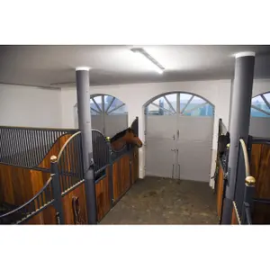 Camera Kerbl IPCam 360 FHD image-2