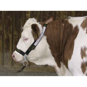 Cow halter with chin chain Kerbl image-1