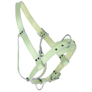12510-leather-halter-for-bulls-kerbl-light-green-one-size