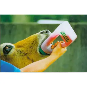 Biberon Kerbl Easy-drencher image-2