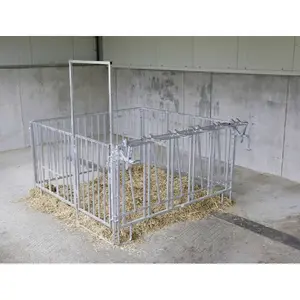 Calf kennel 5 places zinc-plated Kerbl Cornadis image-2