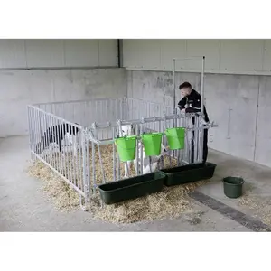 Calf kennel 5 places zinc-plated Kerbl Cornadis image-4
