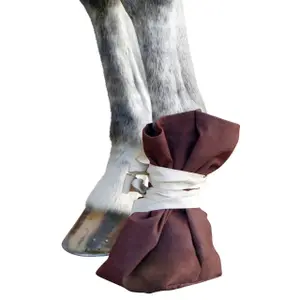 Clog treatment shoe Kerbl image-1