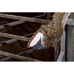 product/k/e/kerbl_16153_3.jpg