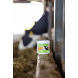 Pasta para el cuidado de cascos y uñas Kerbl Podoseptan image-2