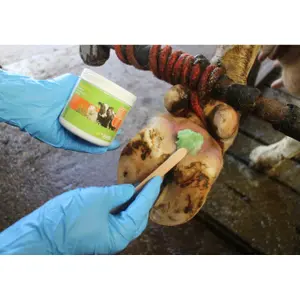 Pasta para el cuidado de cascos y uñas Kerbl Podoseptan image-1