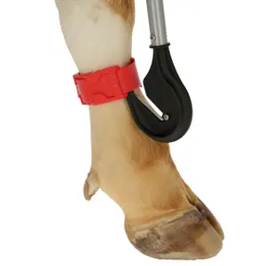 Cuchillo para vendajes Kerbl image-3