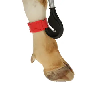 Cuchillo para vendajes Kerbl image-4