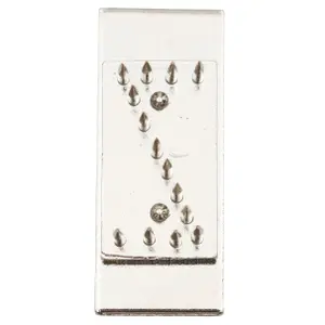 Tattoo letters for pig Kerbl image-0