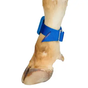 Bracelete com pedómetro e fecho de fivela Kerbl image-2