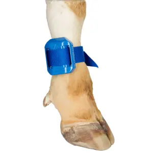 Bracelete com pedómetro e fecho de fivela Kerbl image-3