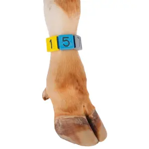 Polsband voor het markeren van nummers, gespsluiting Kerbl image-1