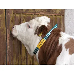 Markering kraaglus Kerbl image-1