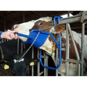 Breeding tools cattle head lifter Kerbl image-1