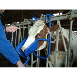 Breeding tools cattle head lifter Kerbl image-2