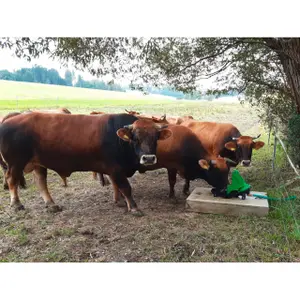 Membraan graaspomp Kerbl image-3