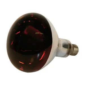 Lampe infrarouge en verre Kerbl image-0