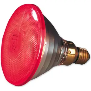 Economic infrared lamp Kerbl Philips