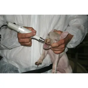 Toothbrush Kerbl AKKU Premium ProPig image-1