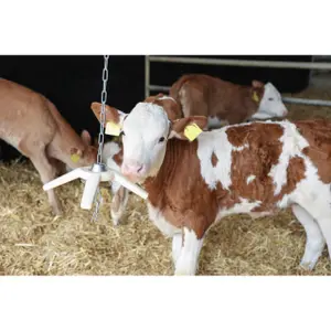 Toy for single calf Kerbl BiteStar image-3
