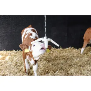 Toy for single calf Kerbl BiteStar image-4