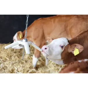 Toy for single calf Kerbl BiteStar image-5