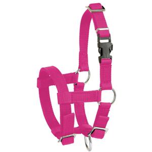 27184-halter-for-alpaca-kerbl-pink-one-size