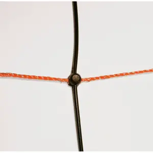 Single point net Kerbl Titan-Net image-1