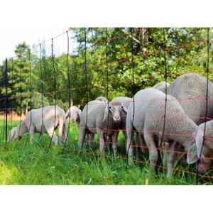 Single point net Kerbl Titan-Net image-2