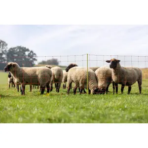 Single-point sheep net Kerbl image-1