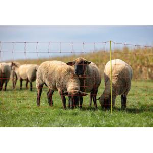 Single-point sheep net Kerbl image-2
