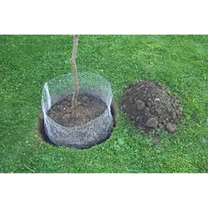 Vole protection screen Kerbl image-1