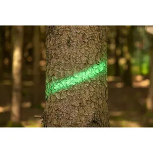 Spray de marquage Kerbl Forst Neon image-1