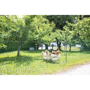 Nät för dubbelt spetsstängsel Kerbl image-2