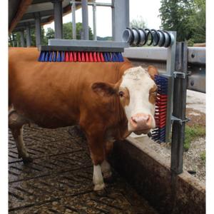 Multifunction barn brush Kerbl image-1