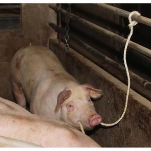 Tvinnad sisalsträng med liten ögla Kerbl (x1) image-1