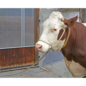 Longe relax grande boucle Kerbl image-1