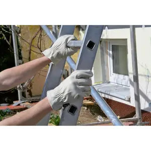 Goat leather gloves Kerbl Rancher II image-2