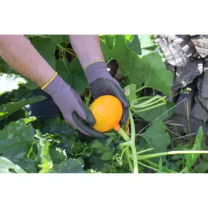 Tuinhandschoenen met puistjes Kerbl Blossom image-1