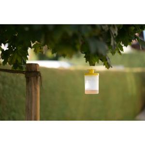 Fly trap with bait Kerbl image-1