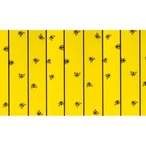 Fly trap Kerbl FlyMaster