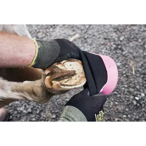 Behandlingsskor för hästar med problemhovar Kerbl Tubbease image-2