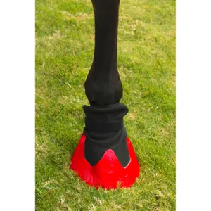 Behandlungsschuhe für Problemhufe Pferde Kerbl Tubbease image-4